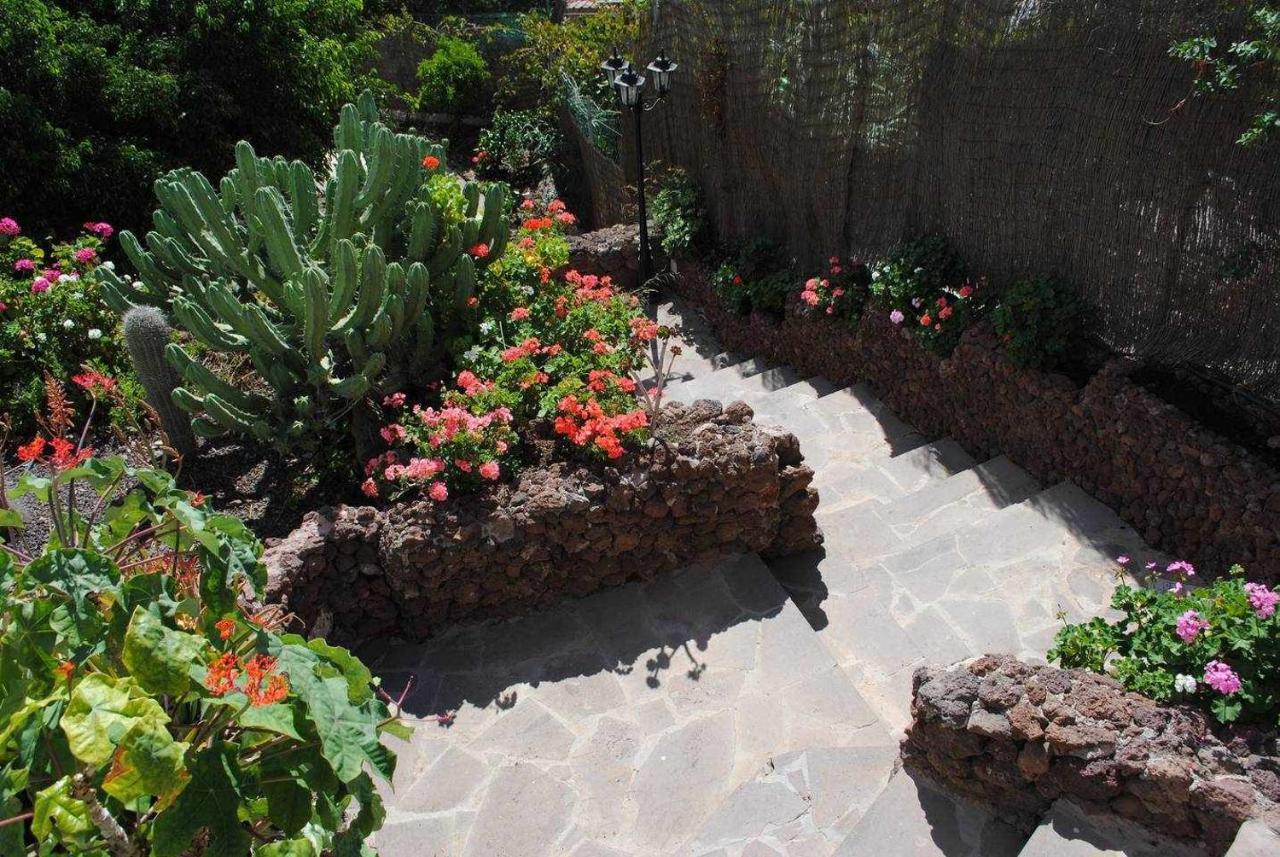 Casa Rural El Olivar La Almazara Santa Lucia Exteriér fotografie