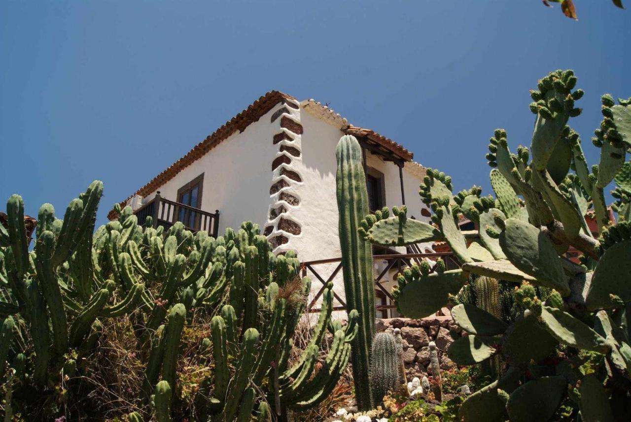 Casa Rural El Olivar La Almazara Santa Lucia Exteriér fotografie